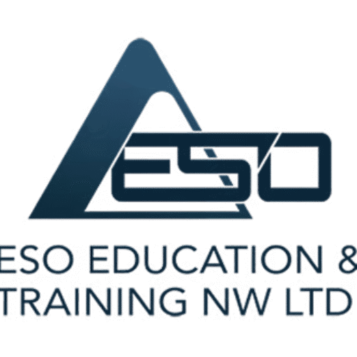 ESO Security Insights